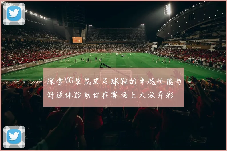 探索MG袋鼠皮足球鞋的卓越性能与舒适体验助你在赛场上大放异彩