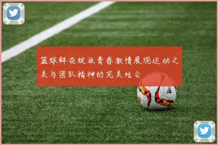 篮球鲜花绽放青春激情展现运动之美与团队精神的完美结合