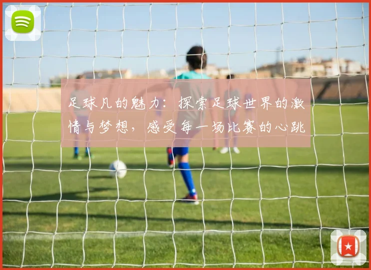 足球凡的魅力：探索足球世界的激情与梦想，感受每一场比赛的心跳与荣耀