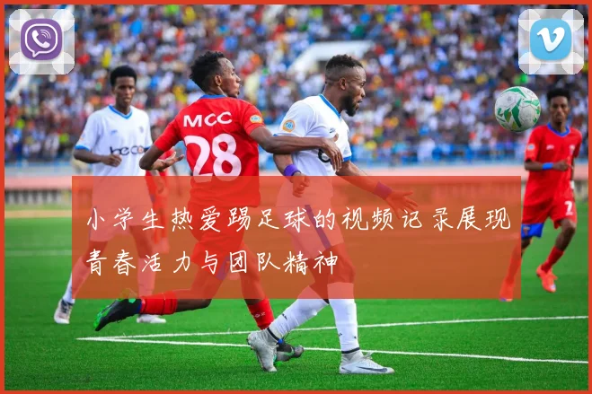 小学生热爱踢足球的视频记录展现青春活力与团队精神