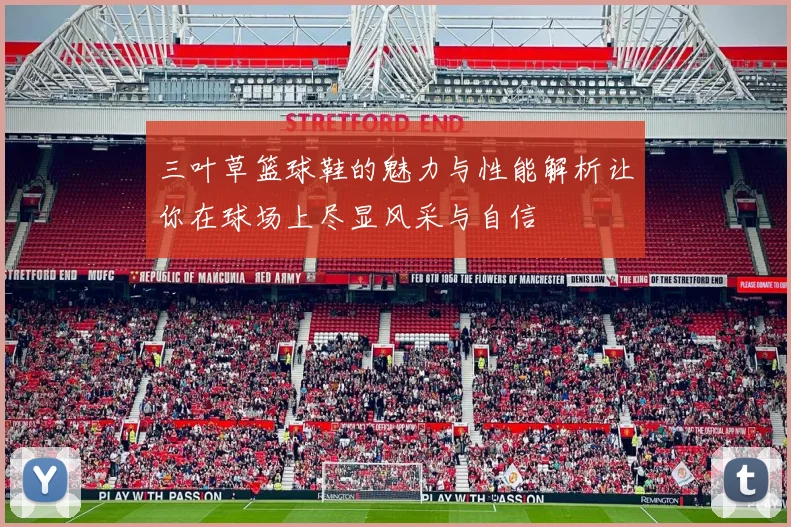 三叶草篮球鞋的魅力与性能解析让你在球场上尽显风采与自信