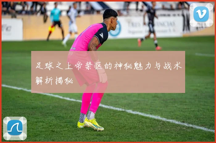 足球之上帝禁区的神秘魅力与战术解析揭秘